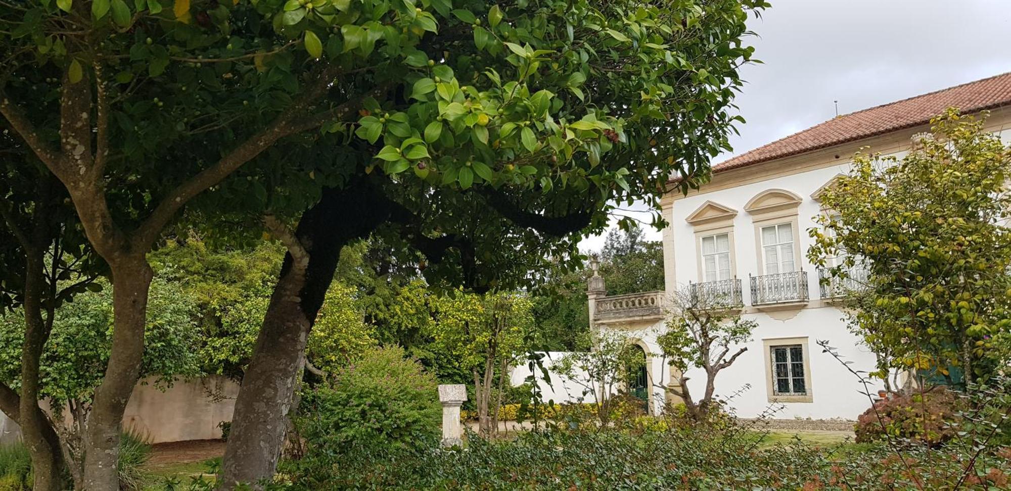 Palacio Da Portela III 코임브라 외부 사진